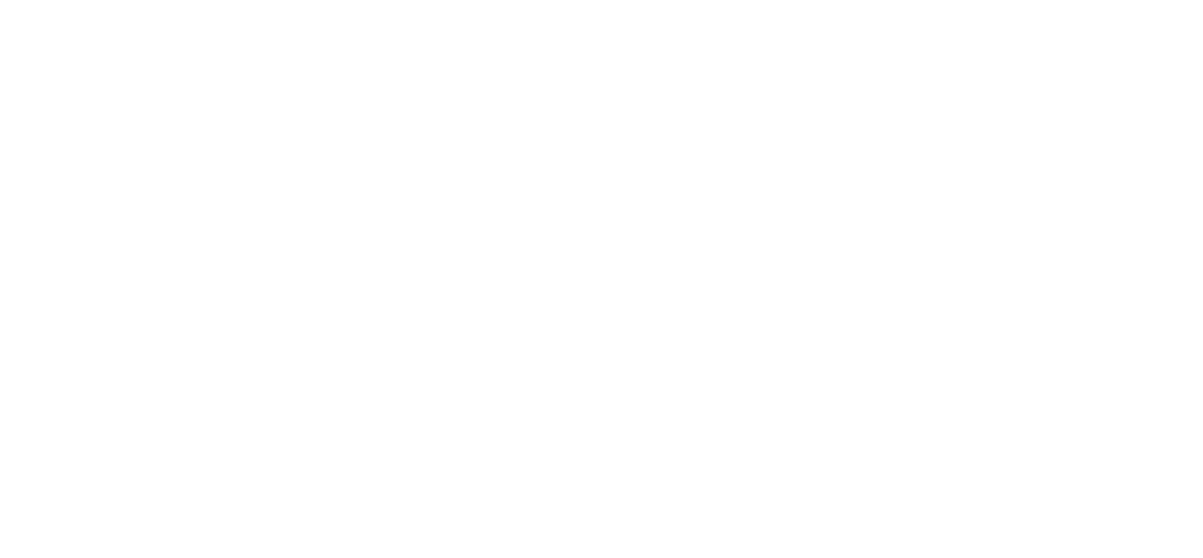 Logo Diamant Libertin